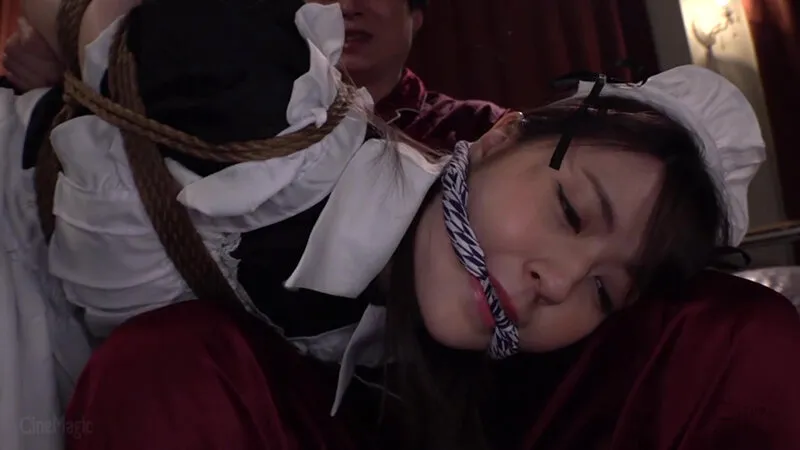 【藤波さとり】哀虐のトリスターナ 家庭内メイドマゾ牝覚醒 さのさとり