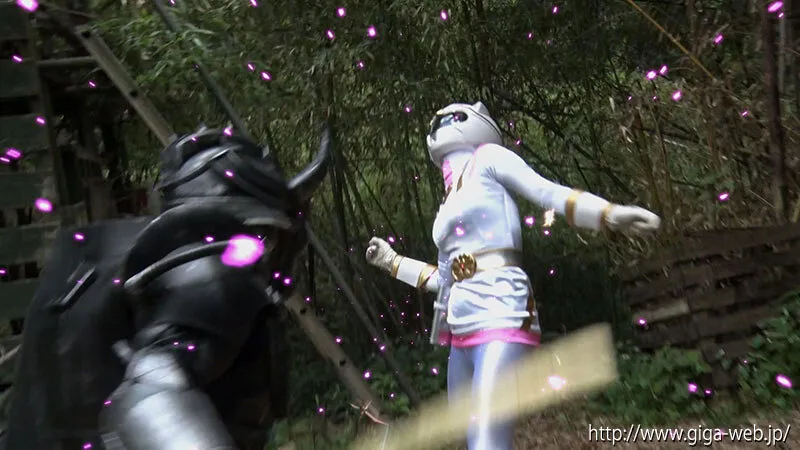 【音琴るい】ヒロインウェット＆メッシー ドロドロビチョビチョ汚辱 強獣戦隊ワイルドレンジャー 生贄にされたワイルドホワイト 妃月るい