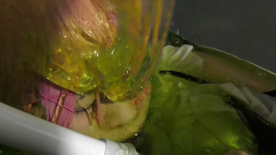 【リゼロ ラム スライム漬けウェット＆メッシーコスROM】えすえふ.シチュエーション２