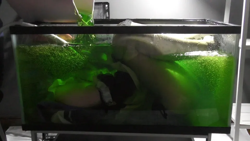 【リゼロ ラム スライム漬けウェット＆メッシーコスROM】えすえふ.シチュエーション２