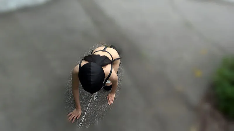 【介護福祉士SM】家畜人ケイコの調教記録