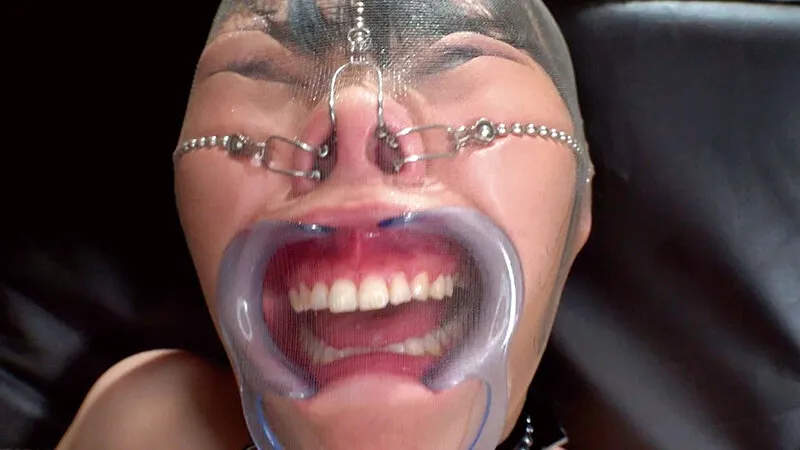 毒宴会五周年記念愛蔵版 濃縮交尾4時間