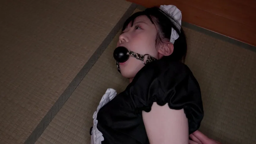 【姫崎あむ】囚われてしまったグラビアアイドル 4【メイド】