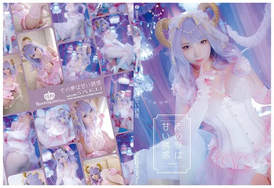 【サク】その夢は甘い誘惑【サキュバス コスROM】