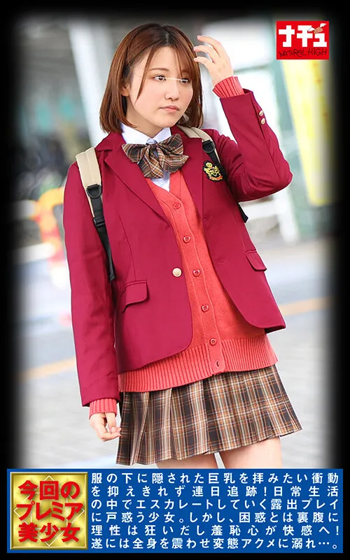 【天月あず 星なこ 他】【JK痴漢レイプ】ナチュラルハイ25周年記念作品 満員電車OK娘スペシャル 全裸露出編 絶対NGの美巨乳制服少女を野外羞恥の快感で大量ぶっかけまでOKさせろ 5作品総集編付き2枚組