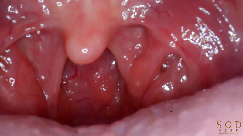 【レイプ】はじめてのドクハラ健康診断 変態医師のスケベ検診に悔しくもガクガク声我慢イキするOL 神木麗（24）