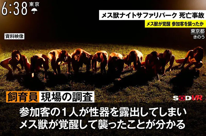 【有加里ののか 加藤ロゼ 春原未来 他】【VR】【8K】恐怖！メス獣ナイトサファリVR