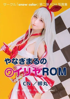 【プリズマ☆イリヤ(レースクイーン)】やなぎまるのヮィリヤ写真集