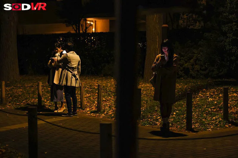 【VR】【8K】都内・大●●公園で立ちんぼしている奥さんに薬を盛ってキメセク撮影 散々中出ししまくった