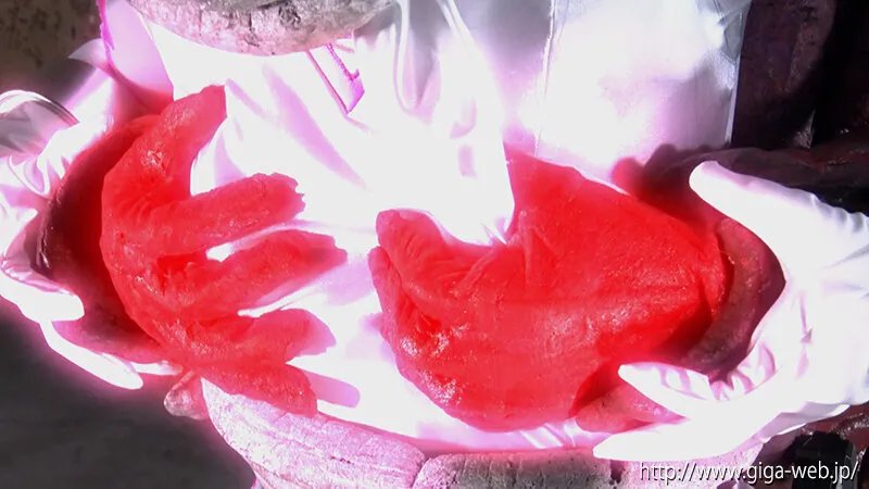 ヒロインエネルギー吸収オムニバス 星捜戦隊ヴェガレンジャー外伝 ヴェガスパーク 辻さくら