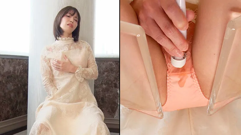 スカートもぐりMANIAX エレガントな淑女のロングスカートの中身を隅々まで観察！