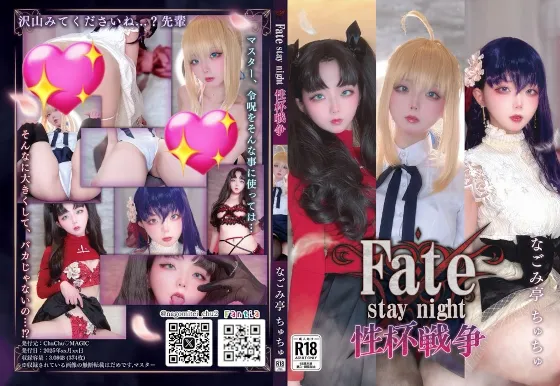 F〇te stay night　性杯戦争