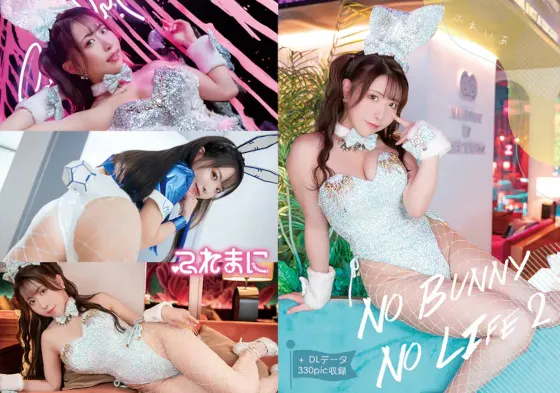 【スパンコールバニー＆サイバーバニー】【ふれいあ】No Bunny No Life 2