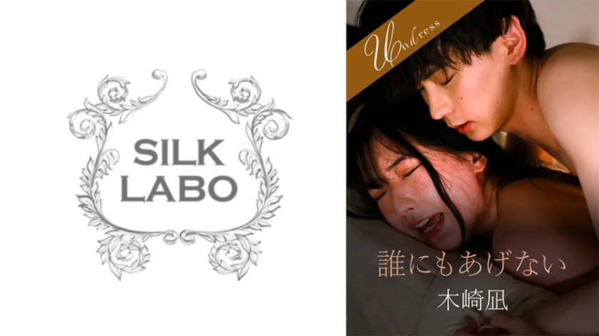 誰にもあげない 宮西ひかる 木崎凪