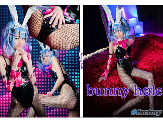 bunny hole