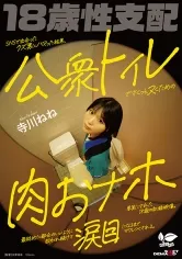 SNSで出会ったクズ男にハマった結果、公衆トイレでさくっとヌくための肉おナホに要員にされた18歳の記録映像。最終的に都合のいいように扱われ続けて涙目になるまでマワしつくされる。 寺川ねね