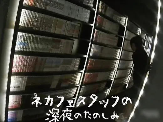 ネカフェスタッフの深夜の楽しみ　〜美形お姉さんの慣れ過ぎたテコキ〜