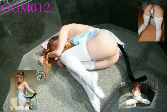 オリジナル？ちゃいな猫