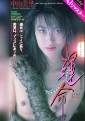 【AIリマスター版】運命 中山美里