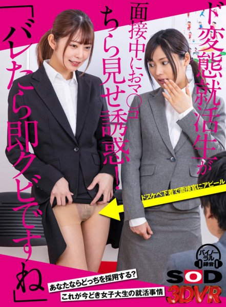 【森日向子＆久留木玲】【VR】「バレたら即クビですね」ド変態就活生が面接中におマ○コちら見せ誘惑！