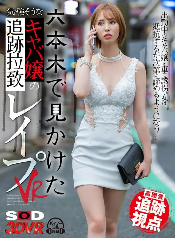 【愛咲きらら】【VR】【高画質 追跡視点】六本木で見かけた気の強そうなキャバ嬢を追跡拉致レイプVR