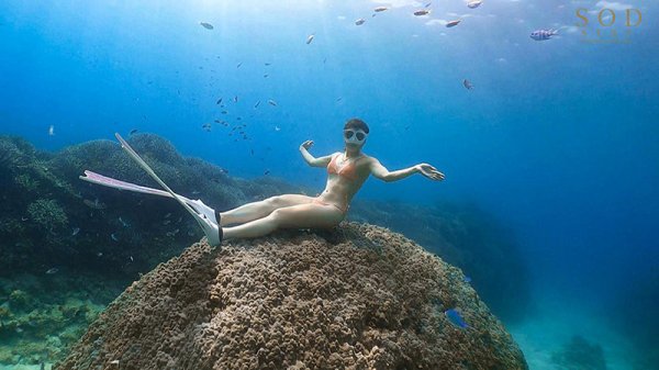 一流競泳選手 青木桃 性欲解放トラベラー【圧倒的4K映像でヌク！】