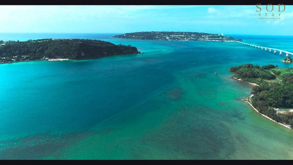 一流競泳選手 青木桃 性欲解放トラベラー【圧倒的4K映像でヌク！】