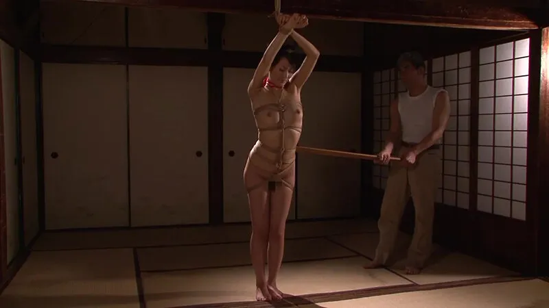 【99円】【平山こずえ】【美人妻】顔も喘ぎ声も可愛いい客室乗務員の嫁 青木美空 SM編