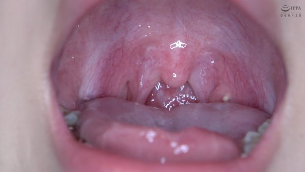 【口内フェチ】人気女優 加賀美さらチャンの激レア舌ベロ・口内・歯観察！小魚に唾垂らし咀嚼も！！！