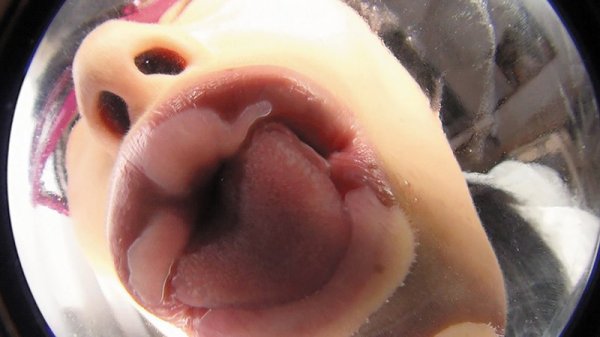 【綾瀬さくら 他】仮想バーチャル悩殺キス