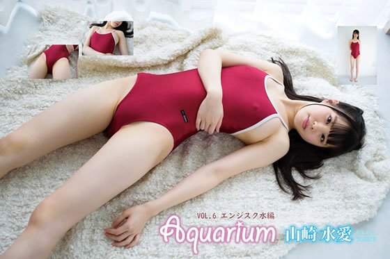 アクアリウム６・山崎水愛