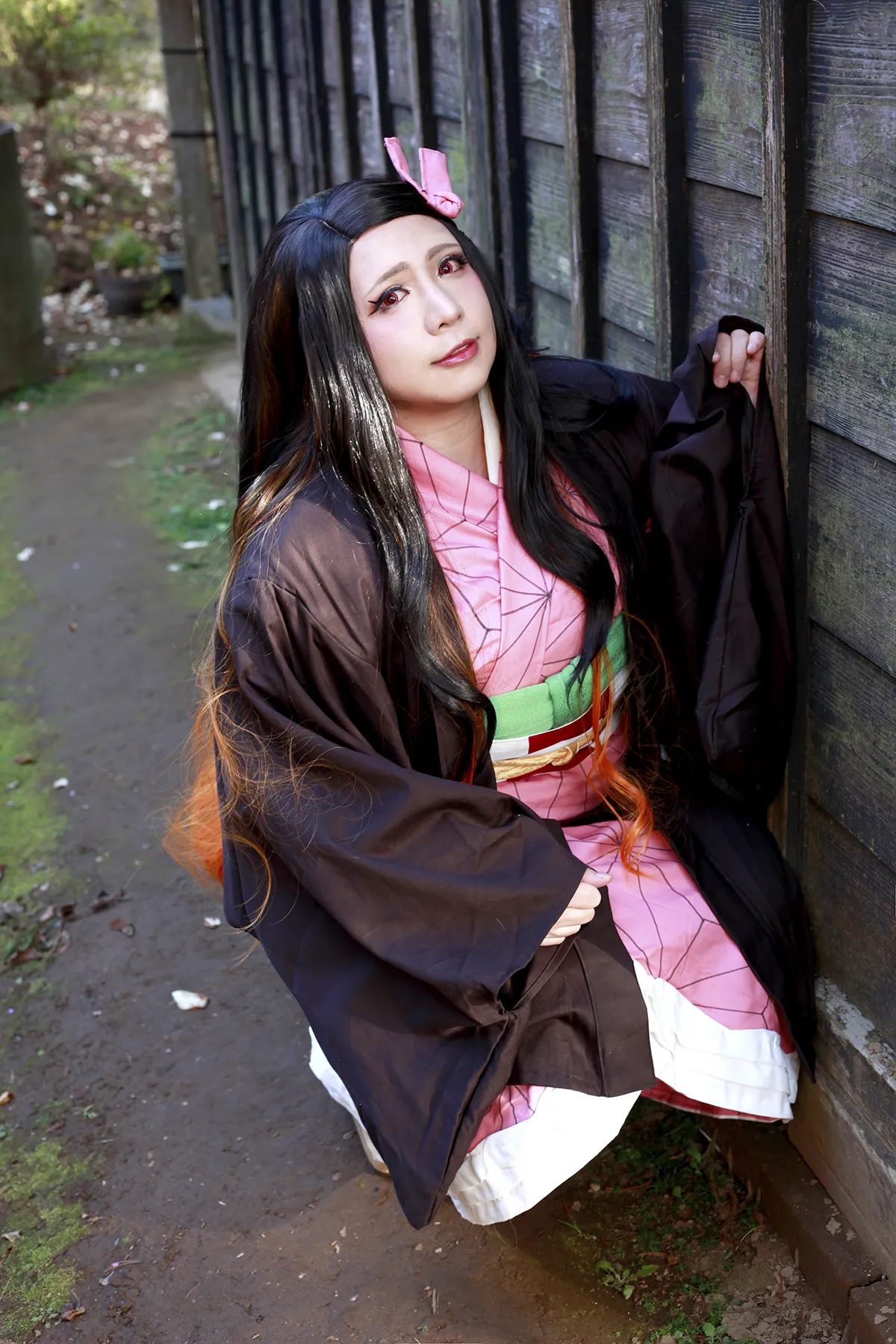 【蝶月真綾】【鬼滅の刃 竈門禰豆子】宵闇の中の光