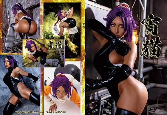 【non】【BLEACH 夜一】宵猫