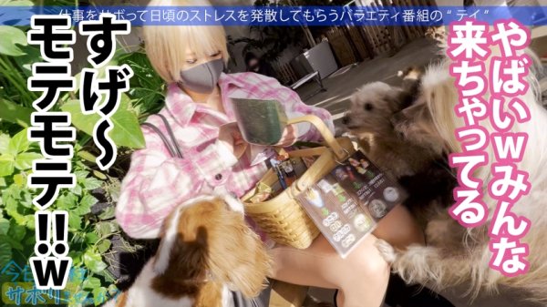 【乙アリス】Hカップ金髪ギャルを捕獲！ぶるんぶるん揺れる爆乳と巨尻に終始釘付けwSEXでマ●コ即ぶっ壊れ！！水没、浸水、大洪水でとにかくしっちゃかめっちゃかの神回！無我夢中で男を喰らう、まさにSEXプレデター！！：今日、会社サボりませんか？53in渋谷