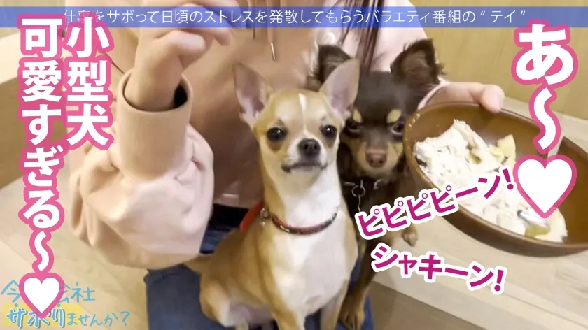 【乃々瀬あい】青森から上京したてのハタチの田舎娘と東京観光！純朴な青森弁なのに、SEXでガチ痙攣イキ＆ガンギマリの衝撃！！ 「初体験は●●●」「13歳からSEXに勤しんでいた」などなど衝撃的すぎる性遍歴も超必見！！：今日、会社サボりませんか？in下北沢