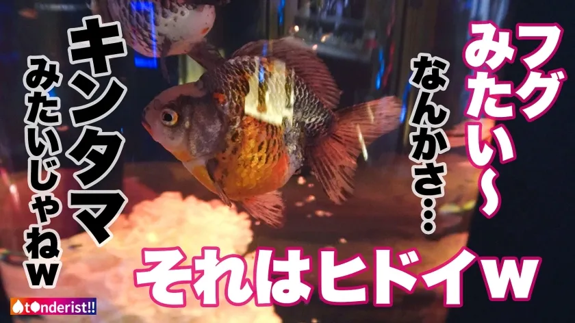 【児玉れな】【美BODYクーデレセフレに濃厚精子を膣奥まで注入！「赤ちゃん出来ちゃったらどうする？」】以前マッチしたセフレちゃんと三度目のデート＆SEX！今日の為にオナ禁してきたみなちゃんはデート中から「おち●こ食べたい♪」って発情中！臨戦状態のぐちゅぐちゅおマ●コに電マとチ●ポをブチ込まれギュンギュン締め付けながら何度も絶頂！我慢出来ず中出しからの～そのまま精子を膣奥まで届ける追撃ピストン！【t●nderist！！】