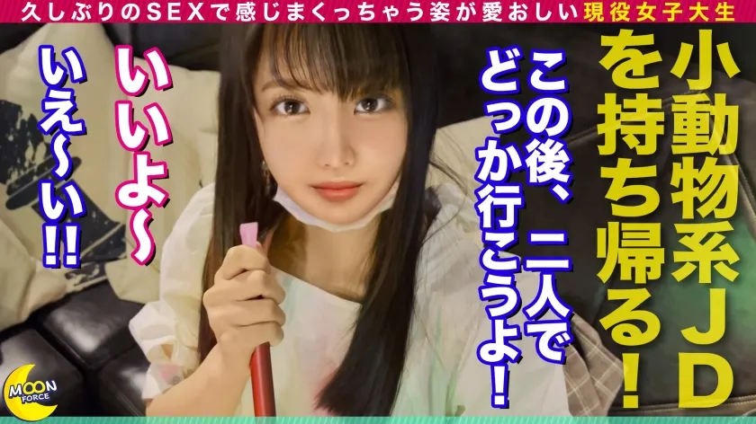 【堀沢茉由】【グラビアアイドル級の究極のボディラインJD】経験の浅い現役女子大生を人生初のラブホに連れ込んでイチャイチャ/数年ぶりのエッチに興奮しちゃってパンツは洪水状態/パイパンま●こにいざ挿入すると全力ピストンで感じまくりのよがりまくりっ！【しろうとハメ撮り＃まゆ＃21歳＃大学生】