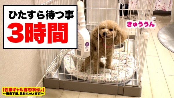 【丹羽すみれ】【過激エロ度ぶっちぎりNo.1】新宿で捕獲したFカップギャルの自宅に突撃！！ギャルとっておきの勝負下着で悩殺ファック！！酔えば酔うほどエロくなる酒乱ギャルに現場が戦慄！！！射精しても射精しても無限にチ◯コを欲しがるSEX中毒ギャルのイキっぷりを目撃せよ！！【性豪ギャル自宅中出し】勝負下着、見せちゃいます！vol.08