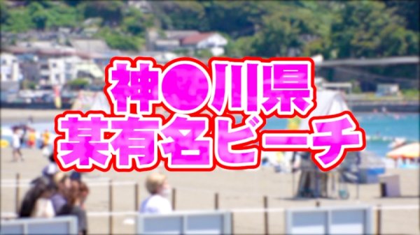 【守永葵】【酔いどれSEX】海でナンパした容姿端麗だけどどこか影のある隠キャぽい水着女子を酔わせてみたらめっちゃエロかったｗｗｗｗｗ