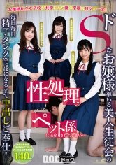 お嬢様私立女子校が共学になり僕の平穏な日々が一変！ドSなお嬢様率いる美人生徒会の性処理ペット係に任命されてしまい…毎日毎日精子タンク空っぽになるまで中出しご奉仕！