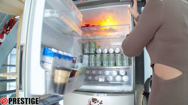 密着ドキュメント BEST 8時間 vol.01 撮影現場、自宅、私生活まで全てさらけ出す！約1ヶ月の密着現場で見えてくる人気女優の生き様。 鈴村あいり 河合あすな 野々浦暖 愛音まりあ 永瀬みなも 乙都さきの