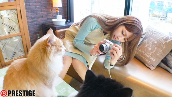 密着ドキュメント BEST 8時間 vol.01 撮影現場、自宅、私生活まで全てさらけ出す！約1ヶ月の密着現場で見えてくる人気女優の生き様。 鈴村あいり 河合あすな 野々浦暖 愛音まりあ 永瀬みなも 乙都さきの