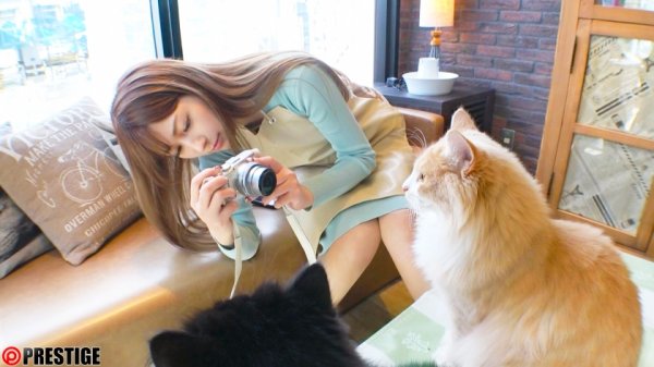 愛音まりあ 8時間 BEST PRESTIGE PREMIUM TREASURE vol.07 本格ドラマ作品から密着ドキュメンタリーまで…愛音まりあの魅力が詰まった永久保存盤！！